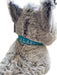 Husky with Alaska Collar, Premium Plush Fabric KIDS / PLUSH