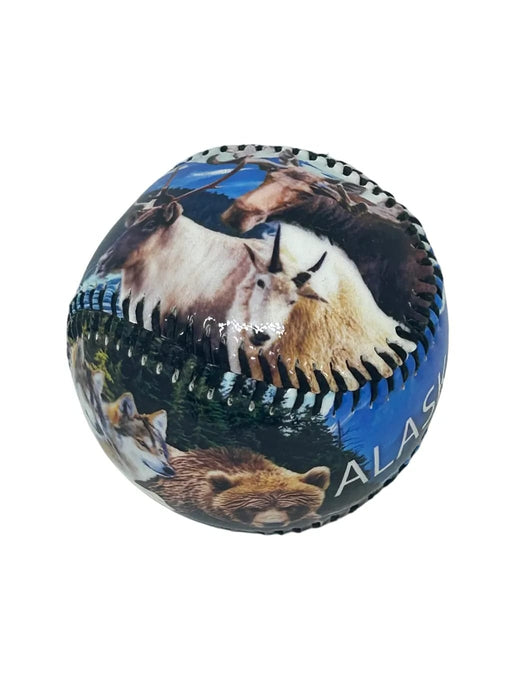 Alaska Wilderness Baseball Sports