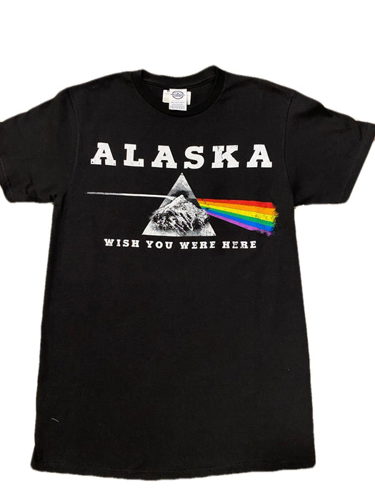 DS Mountain, Adult T-shirt SOFT GOODS / T-SHIRT