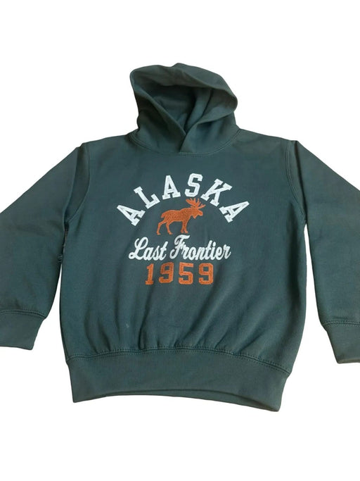 Force Field Moose, Applique Youth Hoodie Kids / Sweatshirt