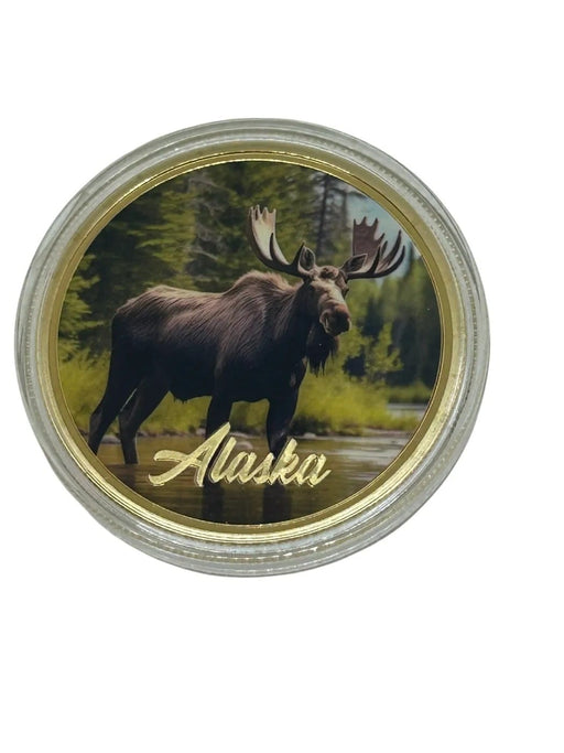 Moose Colored Photo, Gold Coin COLLECTIBLES / MISC