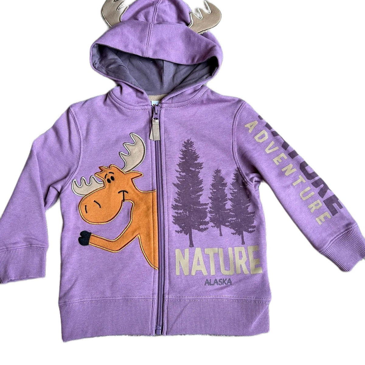 moose-nature-adventure-kids-