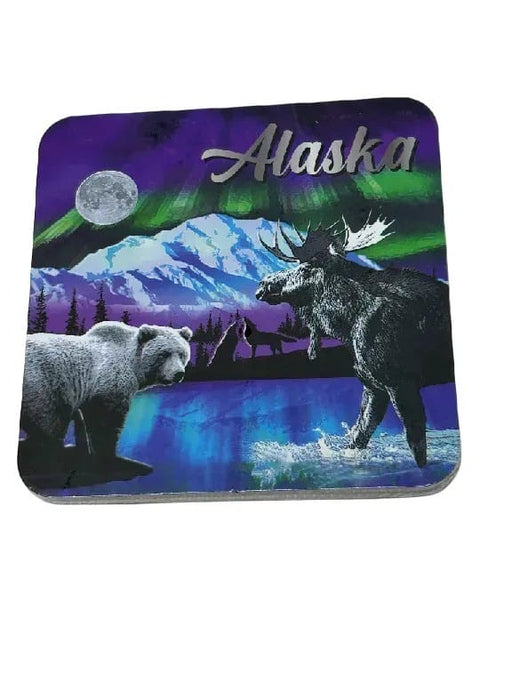 Northern Lights Foil, 2 Pack Coaster Set KITCHEN / COASTERS