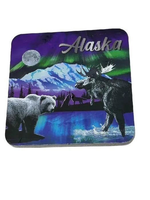 Northern Lights Foil, 2 Pack Coaster Set KITCHEN / COASTERS