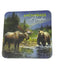 Wild Impressions Anchorage, 2 Pack Coaster Set KITCHEN / COASTERS