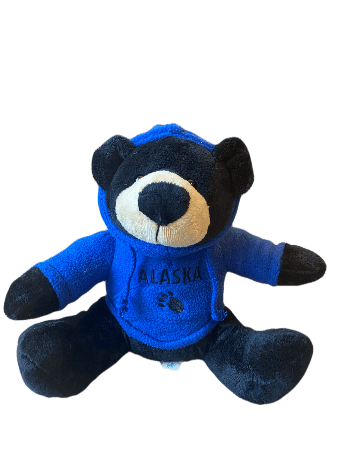 alaskan blue bear